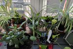 Sale Photo Thumbnail #25