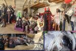 Sale Photo Thumbnail #21