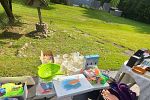 Sale Photo Thumbnail #10