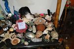 Sale Photo Thumbnail #67