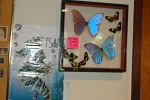 Sale Photo Thumbnail #22