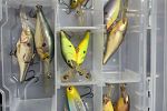 Sale Photo Thumbnail #28