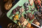 Sale Photo Thumbnail #9