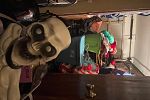 Sale Photo Thumbnail #17