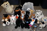 Sale Photo Thumbnail #27
