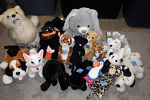 Sale Photo Thumbnail #31