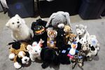 Sale Photo Thumbnail #25