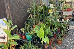 Sale Photo Thumbnail #18