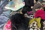 Sale Photo Thumbnail #5