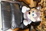 Sale Photo Thumbnail #15