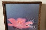 Sale Photo Thumbnail #94