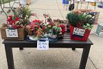 Sale Photo Thumbnail #16