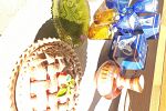 Sale Photo Thumbnail #9