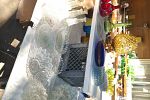 Sale Photo Thumbnail #20