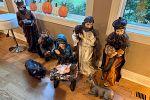 Sale Photo Thumbnail #13
