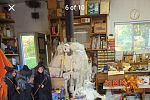 Sale Photo Thumbnail #4