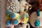 Sale Photo Thumbnail #31