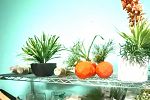 Sale Photo Thumbnail #82