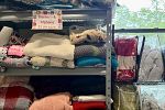 Sale Photo Thumbnail #39