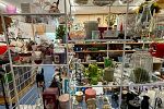 Sale Photo Thumbnail #18