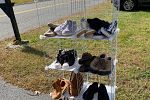 Sale Photo Thumbnail #13