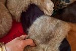 Sale Photo Thumbnail #379