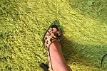 Sale Photo Thumbnail #476