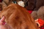 Sale Photo Thumbnail #19