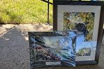 Sale Photo Thumbnail #20