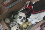 Sale Photo Thumbnail #10