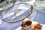 Sale Photo Thumbnail #25