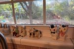 Sale Photo Thumbnail #7