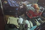Sale Photo Thumbnail #3