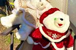 Sale Photo Thumbnail #46