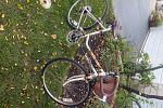 Sale Photo Thumbnail #39
