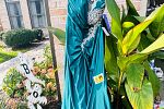 Sale Photo Thumbnail #18