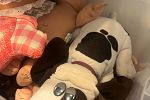 Sale Photo Thumbnail #44