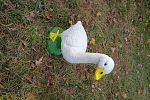 Sale Photo Thumbnail #55