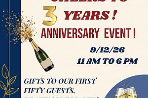 3 YEAR ANNIVERSARY MEMORY LN. COLLECTABLES ANTIQUES