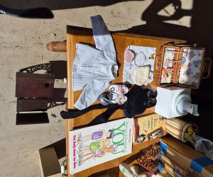 Sale Gallery Photo Thumbnail