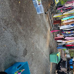 Yard sale photo in Hollywood, FL