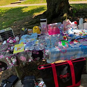 Yard sale photo in Chevy Chase, MD