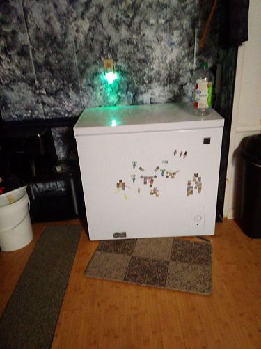 Moving out sale photo