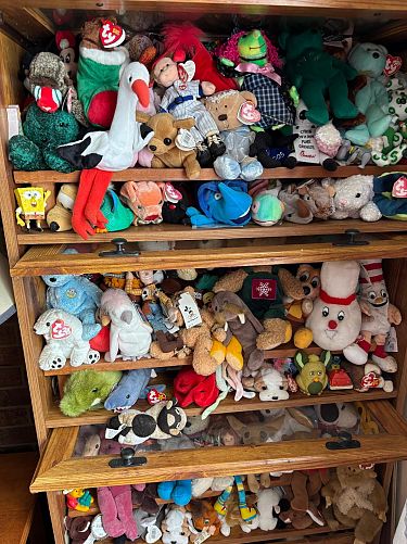 Estate/Cleanout sale photo