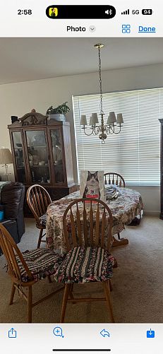 HUGE MOVING SALE! photo