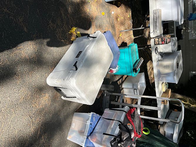 Yard sale photo