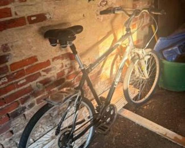 Eclectic Clayton Estate Moving Content Sale photo